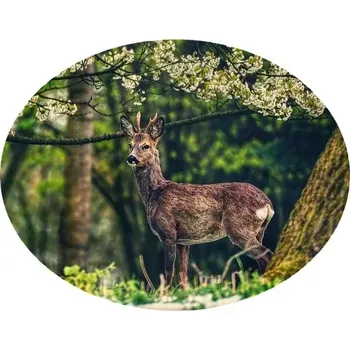 Nášivka Nažehlovačka myslivecká SRNEC II (digitální nažehlovačka pro myslivce)