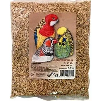 Pro ptáka Oves nahý Avicentra 1 kg