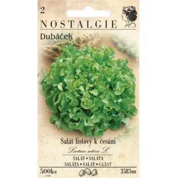 Semeno Salát listový k česání zelený DUBÁČEK