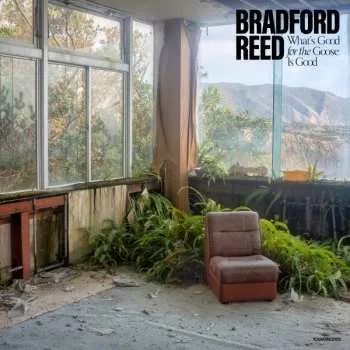 Zahraniční hudba LP Bradford Reed: What's Good for the Goose Is Good 2019