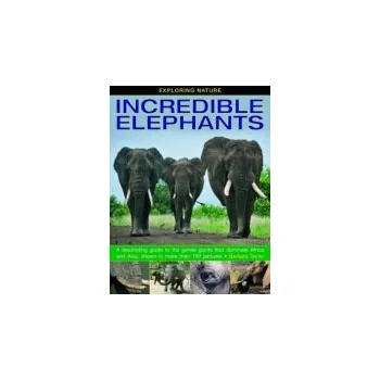 Cizojazyčná kniha Exploring Nature: Incredible Elephants - Taylor, Barbara