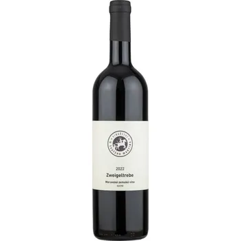 Zweigeltrebe 2022, zemské víno, Vinařství u svatého Martina, suché