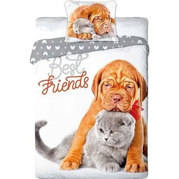 Povlečení Povlečení Nejlepší Přátelé šedé 140x200/70x90 cm