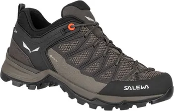 Dámská treková obuv Salewa Ws Mountain Trainer Lite GTX 61362-7517