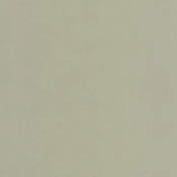 Tapeta Vliesová tapeta na zeď Caselio 64527210 BASICS, 0,53 x 10,05 m