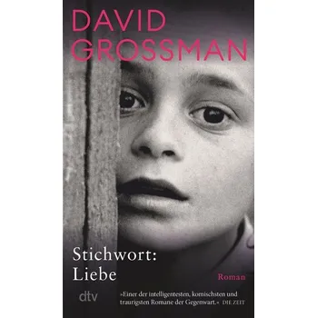 Stichwort: Liebe - David Grossman [DE] (2024, Brožovaná, dtv Verlagsgesellschaft)