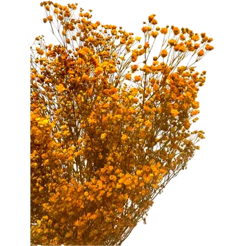 umělá květina Nevěstin závoj/stabilizovaná Gypsophila svazek/kytice oranžová 45g