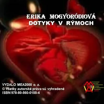 Kniha Dotyky v&nbsp;rýmoch