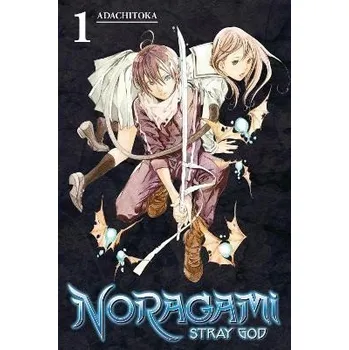 Komiks pro dospělé Noragami 1: Stray God