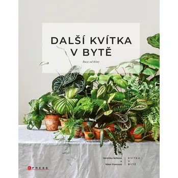 Kniha Další kvítka v bytě: Ruce od hlíny
