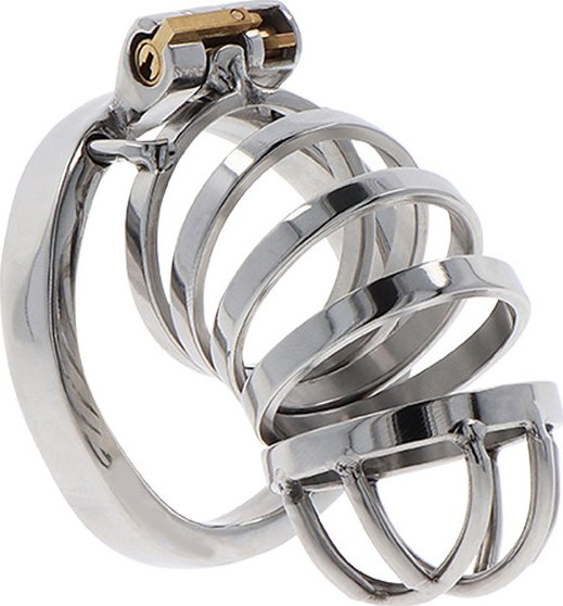 Hidden Desire Extreme Chastity Cock Cage Metal