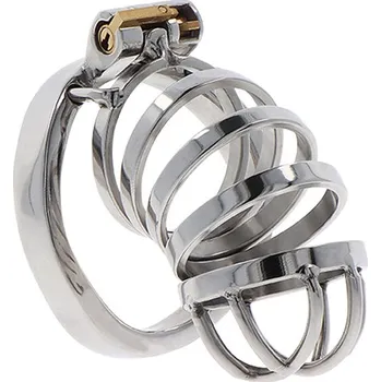 Pás cudnosti Hidden Desire Extreme Chastity Cock Cage Metal