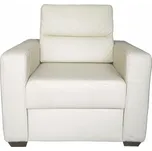 Křeslo MODERN kůže