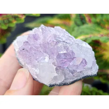 Přírodní kámen Ametyst drúza 84g z Brazílie