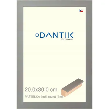 Obraz Rámeček na jednu fotografii DANTIK 30 x 20 cm