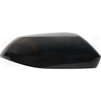 Auto zrcátko Kryt, vnější zrcátko VAN WEZEL 5415844