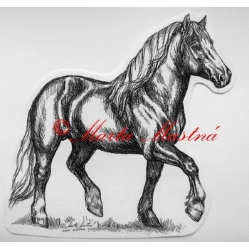 Samolepka chladnokrevník, kůň, koně - archiv - Malá - přibližně jako pohlednice
