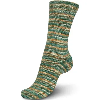 Příze Regia 6-ply Whisper Reed Color 6056 (Ponožková příze Regia 6-ply Whisper Reed Color 6056)