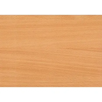 Jídelní set Jídelní set BIS stůl + židle 4ks Varianta: buk potah béžový