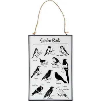 Obraz Skleněný obraz na provázku Ptáci čirý/černý