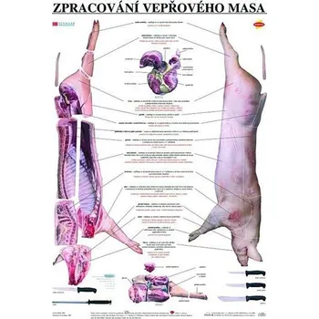 Bystrá hlava Plakát - Zpracování vepřového masa
