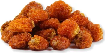 Sušené ovoce Ochutnej Ořech Mochyně peruánská Physalis Natural