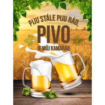 Plechová cedule Postershop Plechová cedule: Pivo je můj kamarád - 30x40 cm