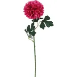 Morex X5787-06 chryzantéma 50 cm