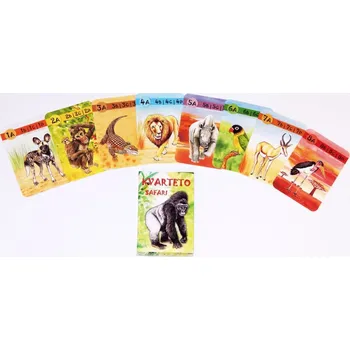 Kvarteto Karty AKM SAFARI Kvarteto 369647