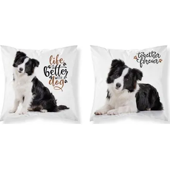 Dekorativní polštářek Povlak micro 40x40cm BORDER KOLIE