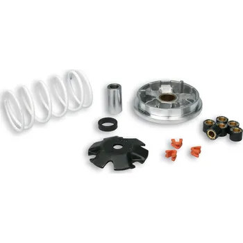 Auto-moto Malossi Variátor Multivar Peugeot 518752