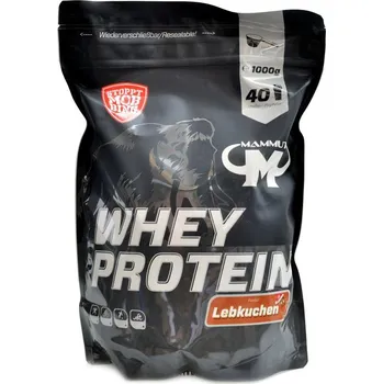 Protein Mammut nutrition Whey protein 1000 g Příchuť: bílá čokoláda kokos