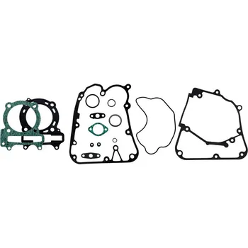 Těsnění pro motocykl RMS Sada těsnění motoru Kymco 250 100684280