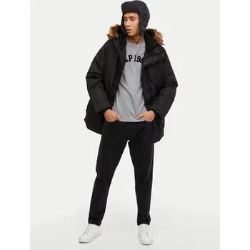 Oblečení a móda Gap Zimní bunda 726377-01 Černá Regular Fit XL