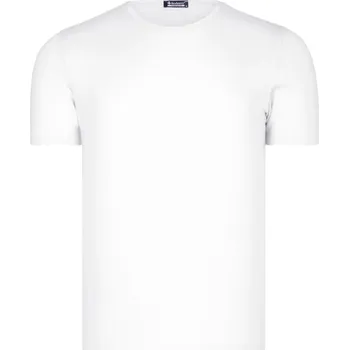 Pánské tričko T8569 DEWBERRY PÁNSKÉ TRIČKO S LÍMEČKEM NA KOLO - JEDNODUCHÉ BÍLÉ dewberry bílá 2266609