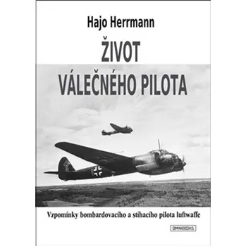 Umění Život válečného pilota