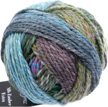 Příze Schoppel Wolle Alb Zauber Extra 2529 Schleudergang (Vlněná příze Alb Zauber Extra 2529 Schleudergang )