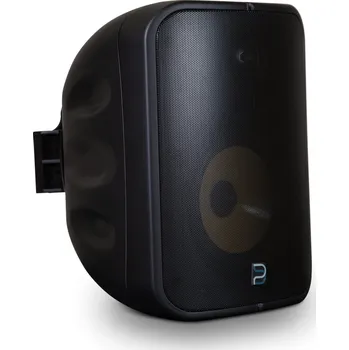 Elektronika Bluesound Professional BSP1000 černý - Outdoor reproduktor s BluOS streamerem