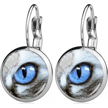 Náušnice Ocelové náušnice kočičí oko