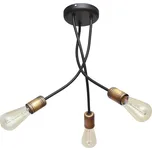 Helam Harvard HE0694