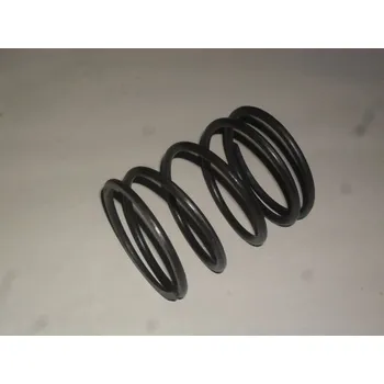Pružina D 5,6 Tatra
