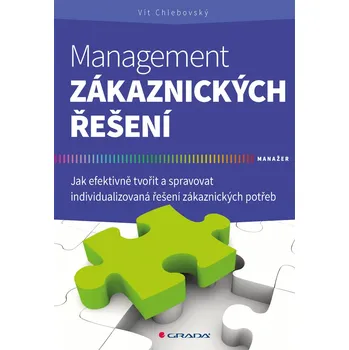 Management zákaznických řešení - Vít Chlebovský (E-Kniha)