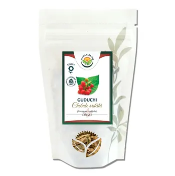 Přírodní produkt Salvia Paradise Guduchi dřevo