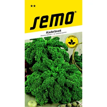 Semeno SEMO Kadeřávek Halbhoher Grüner Krauser zelený 1 g
