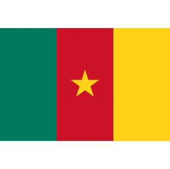 Vlajka Kamerun vlajka - 30 x 45 cm - tunel, karabina