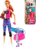 Barbie panenka Wellness herní set s…