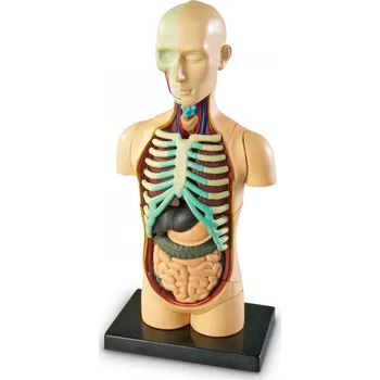 Learning Resources LERLER3336 model…