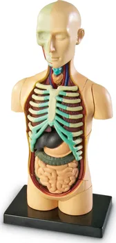 Dětská vědecká sada Learning Resources Anatomický model lidského těla