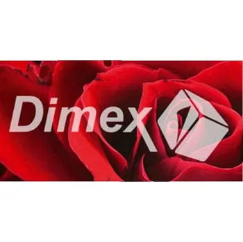 Obraz DIMEX | Obraz na skle | Růže GL-60-007 | 60 x 30 cm + Skleněný fotoobraz na stěnu české výroby DIMEX - GL-60-007 Růže, v rozměru 60 x 30 cm