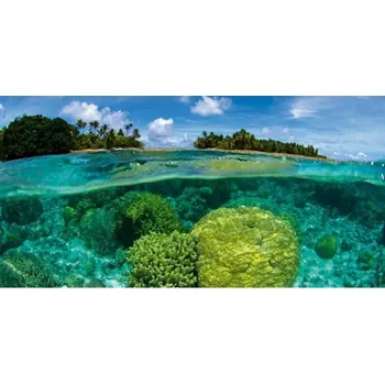 Obraz DIMEX | Obraz na skle | Korálový útes GL-60-024 | 60 x 30 cm + Skleněný fotoobraz na stěnu české výroby DIMEX - GL-60-024 Korálový útes, v rozměru 60 x 30 cm